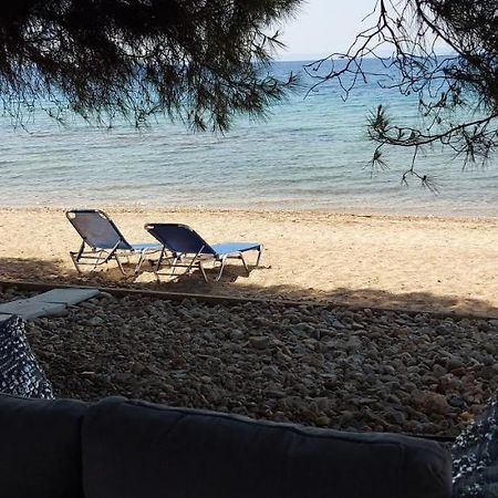 "Pine&Sea" Kastamoniti Beach Nikiti  Dış mekan fotoğraf