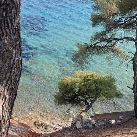 "Pine&Sea" Kastamoniti Beach Nikiti  Dış mekan fotoğraf