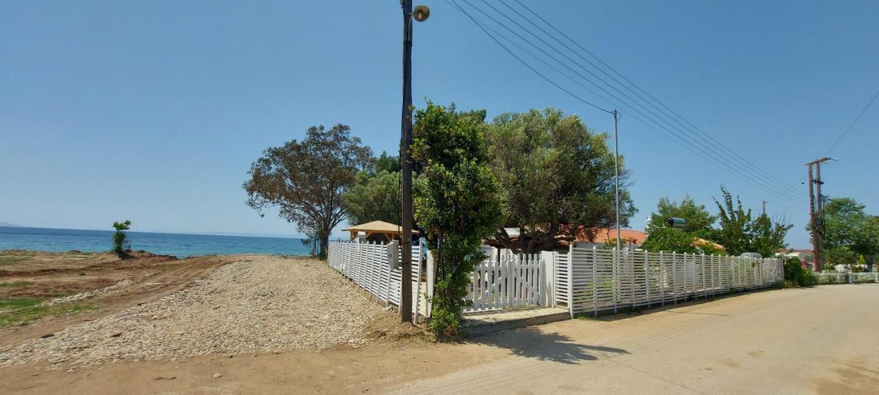 "Pine&Sea" Kastamoniti Beach Nikiti  Dış mekan fotoğraf