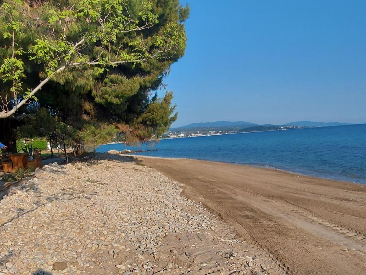 "Pine&Sea" Kastamoniti Beach Nikiti  Dış mekan fotoğraf