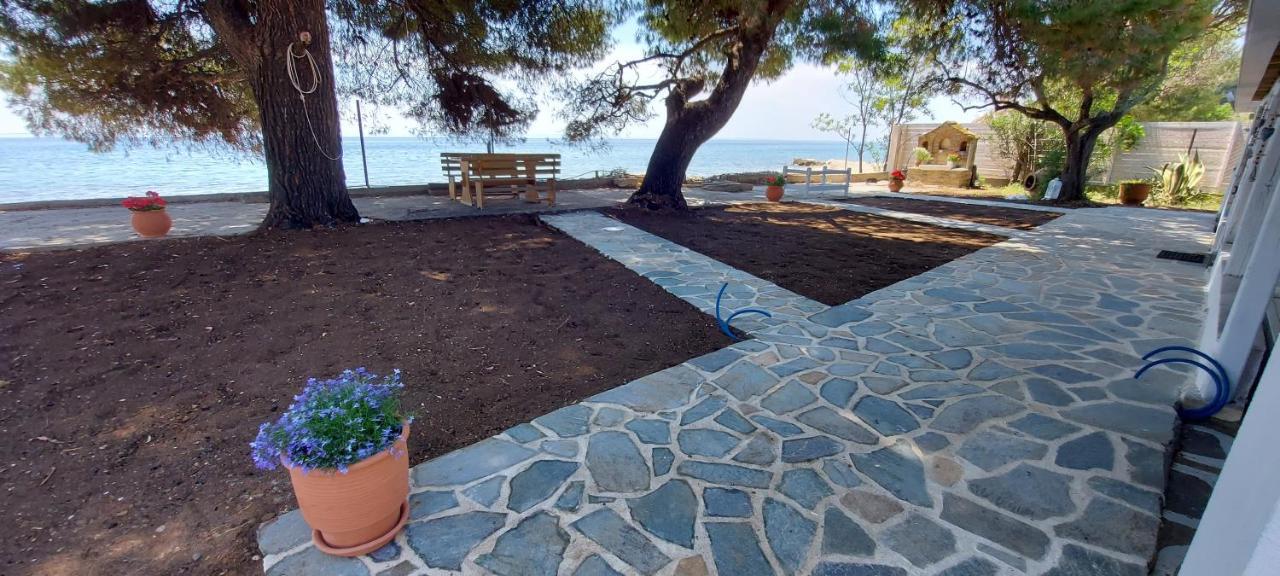 "Pine&Sea" Kastamoniti Beach Nikiti  Dış mekan fotoğraf