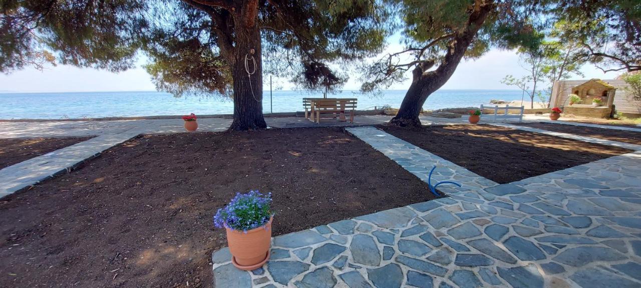 "Pine&Sea" Kastamoniti Beach Nikiti  Dış mekan fotoğraf