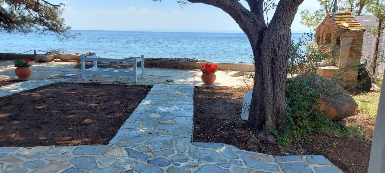 "Pine&Sea" Kastamoniti Beach Nikiti  Dış mekan fotoğraf