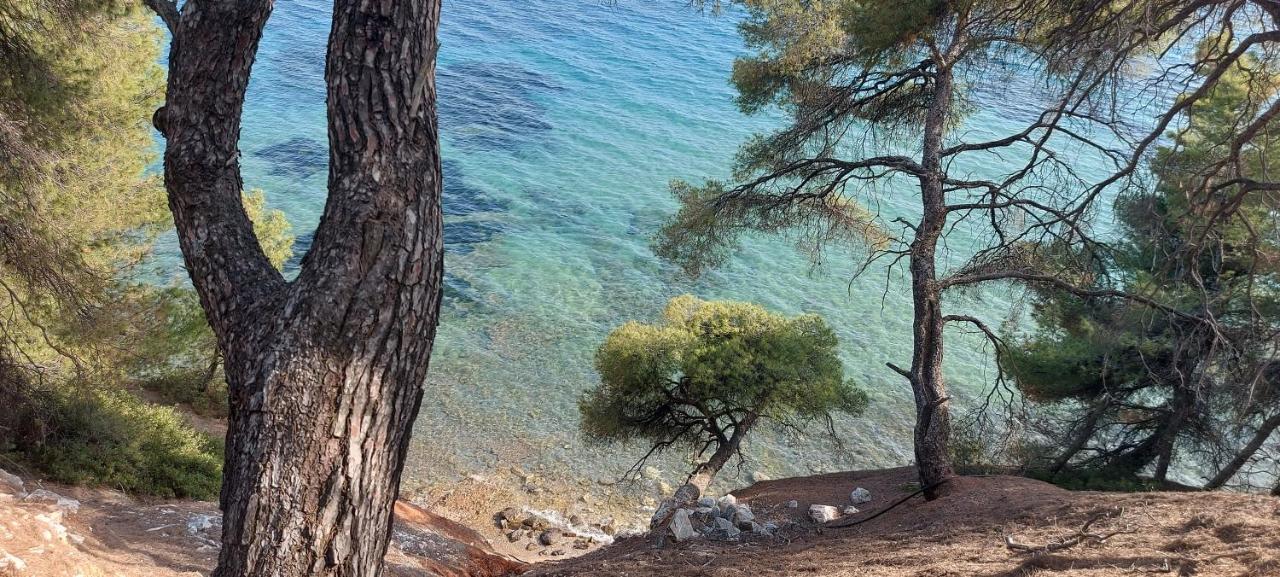 "Pine&Sea" Kastamoniti Beach Nikiti  Dış mekan fotoğraf